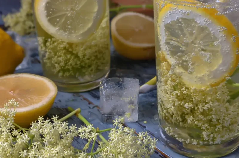 Tökéletes Bodzaszörp 15 Perc Alatt: Gyors Recept