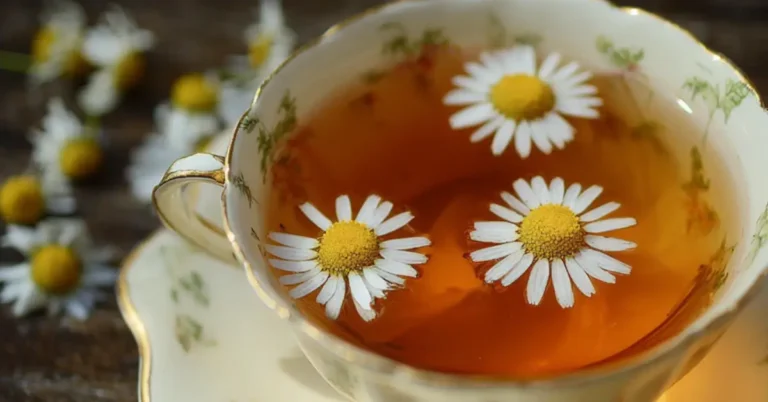Kamillatea készítése: 5 jótékony hatás és a recept