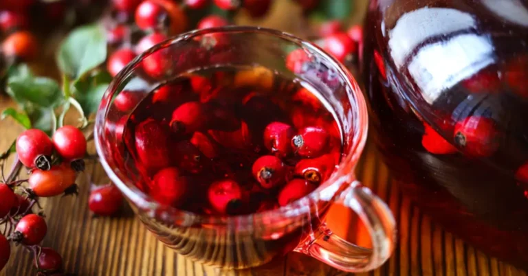 Csipkebogyó tea készítése: 5 egyszerű lépés a tökéletes ízig