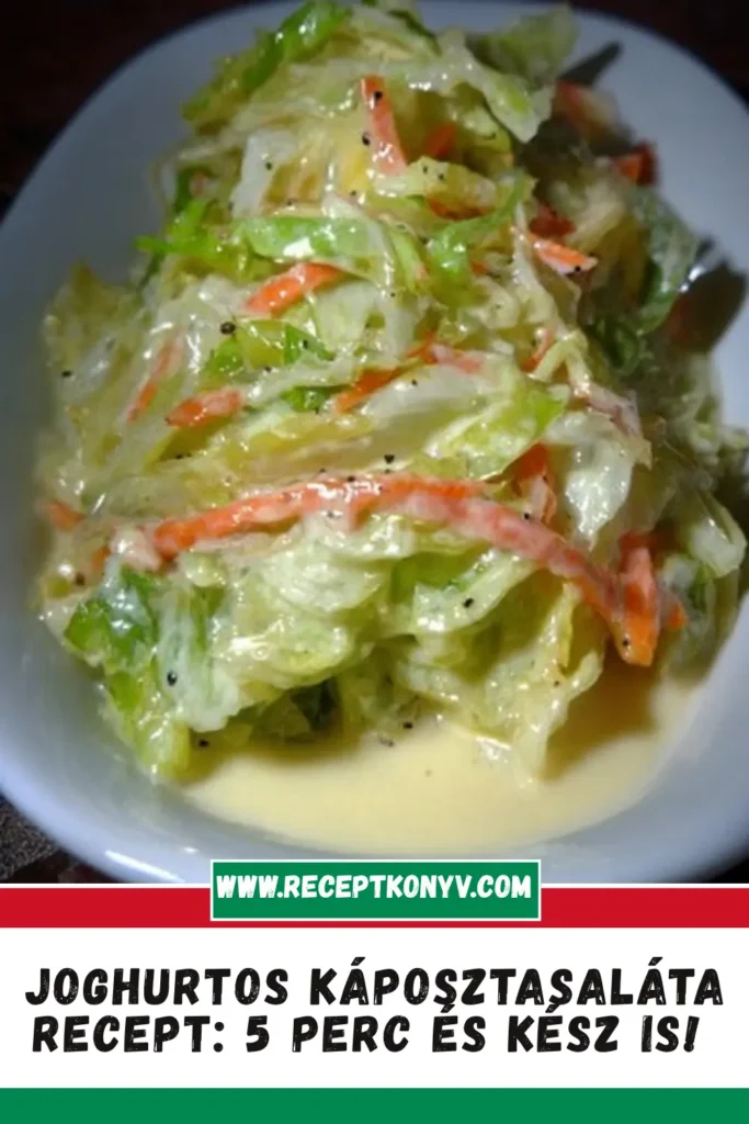 Joghurtos káposztasaláta recept: 5 perc és kész is!
